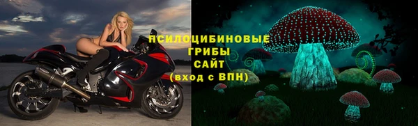 СК Абинск