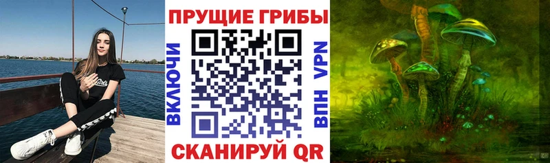 Псилоцибиновые грибы Magic Shrooms Темников